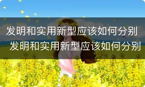 发明和实用新型应该如何分别 发明和实用新型应该如何分别表述