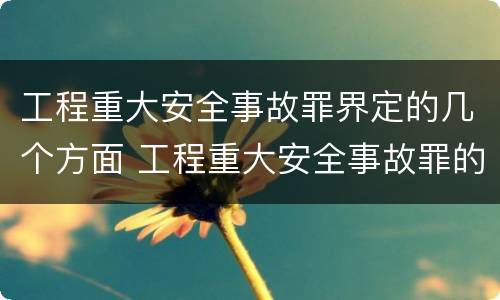 工程重大安全事故罪界定的几个方面 工程重大安全事故罪的主体是
