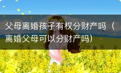 父母离婚孩子有权分财产吗（离婚父母可以分财产吗）