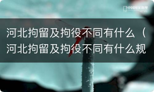 河北拘留及拘役不同有什么（河北拘留及拘役不同有什么规定）