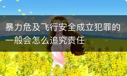 暴力危及飞行安全成立犯罪的一般会怎么追究责任