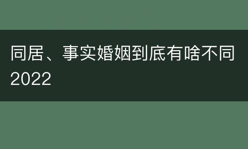 同居、事实婚姻到底有啥不同2022