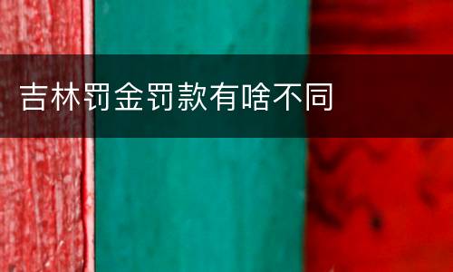 吉林罚金罚款有啥不同