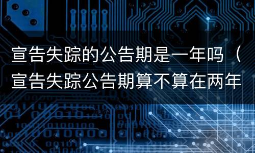 宣告失踪的公告期是一年吗（宣告失踪公告期算不算在两年里）
