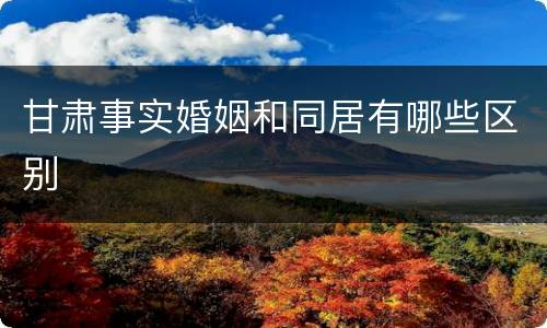 甘肃事实婚姻和同居有哪些区别