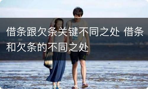 借条跟欠条关键不同之处 借条和欠条的不同之处