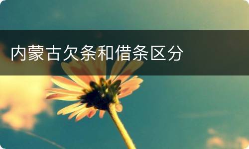 内蒙古欠条和借条区分