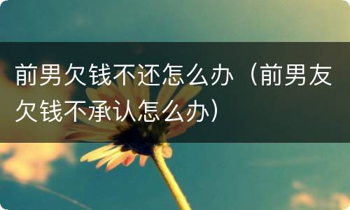 前男欠钱不还怎么办（前男友欠钱不承认怎么办）