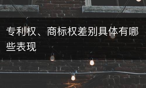 专利权、商标权差别具体有哪些表现