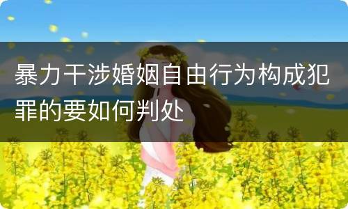 暴力干涉婚姻自由行为构成犯罪的要如何判处