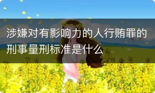 涉嫌对有影响力的人行贿罪的刑事量刑标准是什么