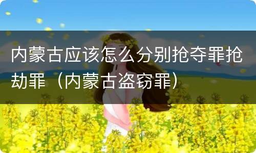 内蒙古应该怎么分别抢夺罪抢劫罪（内蒙古盗窃罪）