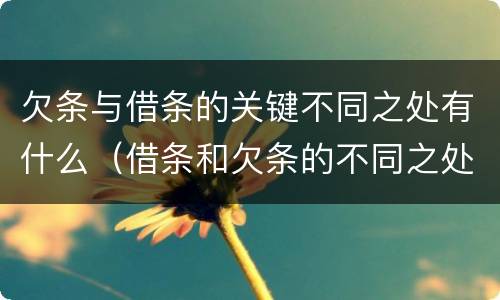欠条与借条的关键不同之处有什么（借条和欠条的不同之处）