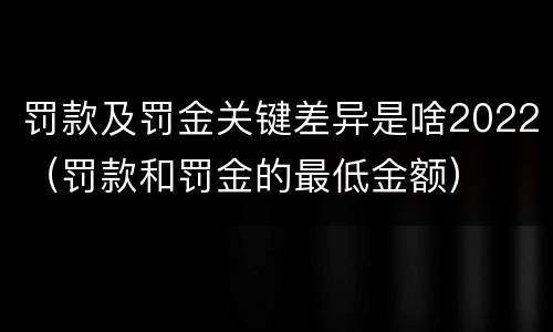 罚款及罚金关键差异是啥2022（罚款和罚金的最低金额）