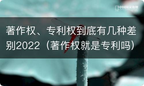 著作权、专利权到底有几种差别2022（著作权就是专利吗）