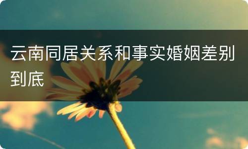 云南同居关系和事实婚姻差别到底