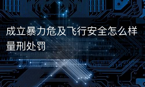 成立暴力危及飞行安全怎么样量刑处罚