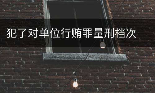 犯了对单位行贿罪量刑档次