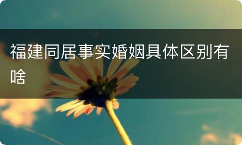 福建同居事实婚姻具体区别有啥