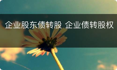 企业股东债转股 企业债转股权