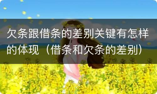 欠条跟借条的差别关键有怎样的体现（借条和欠条的差别）