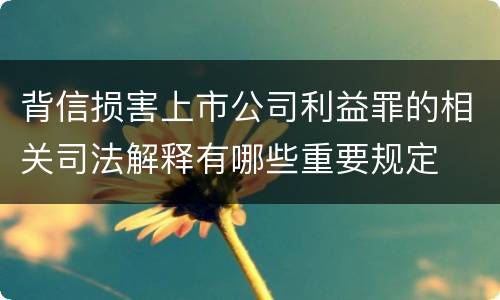 背信损害上市公司利益罪的相关司法解释有哪些重要规定