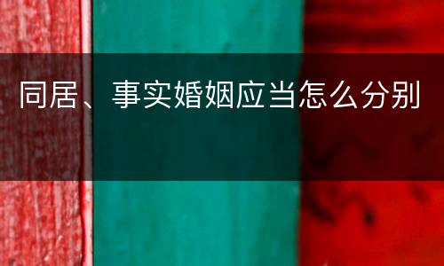 同居、事实婚姻应当怎么分别