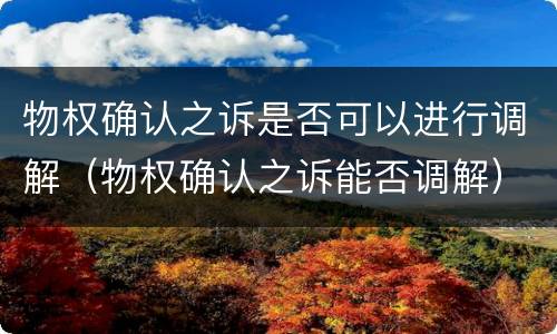 物权确认之诉是否可以进行调解（物权确认之诉能否调解）