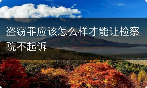 盗窃罪应该怎么样才能让检察院不起诉
