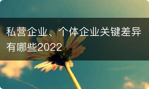 私营企业、个体企业关键差异有哪些2022