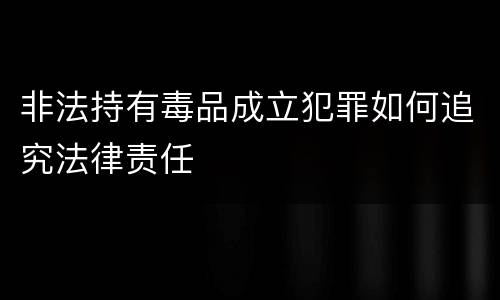 非法持有毒品成立犯罪如何追究法律责任