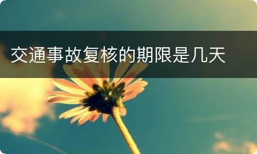 交通事故复核的期限是几天