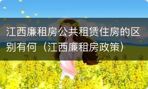 江西廉租房公共租赁住房的区别有何（江西廉租房政策）