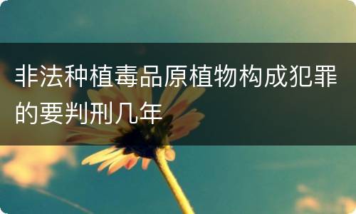 非法种植毒品原植物构成犯罪的要判刑几年