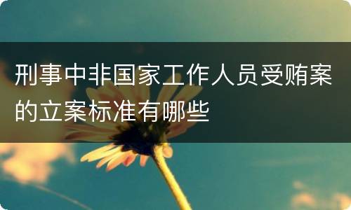 刑事中非国家工作人员受贿案的立案标准有哪些