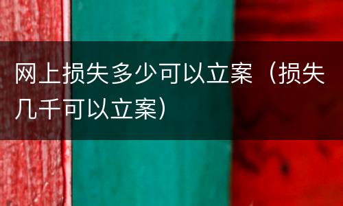 网上损失多少可以立案（损失几千可以立案）