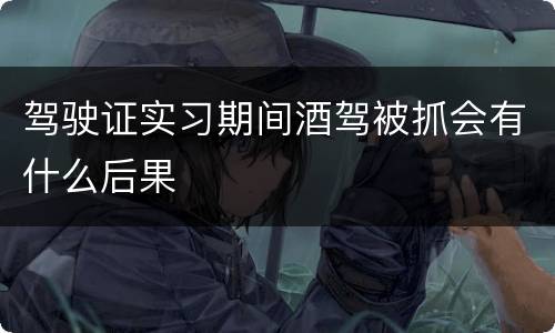 驾驶证实习期间酒驾被抓会有什么后果