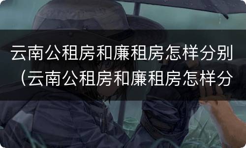 云南公租房和廉租房怎样分别（云南公租房和廉租房怎样分别的）
