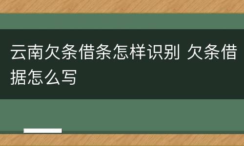 云南欠条借条怎样识别 欠条借据怎么写