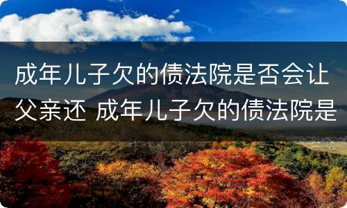 成年儿子欠的债法院是否会让父亲还 成年儿子欠的债法院是否会让父亲还
