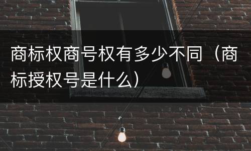 商标权商号权有多少不同（商标授权号是什么）