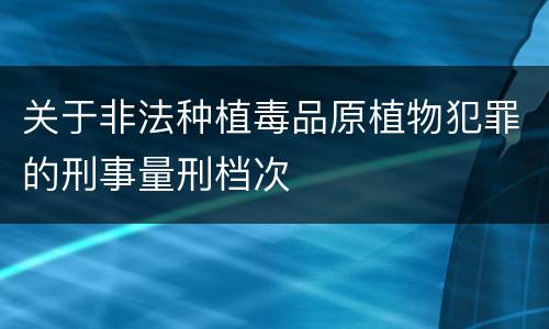 关于非法种植毒品原植物犯罪的刑事量刑档次