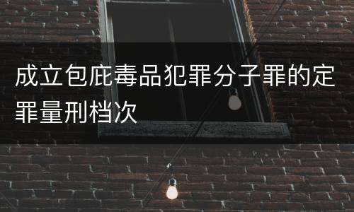 成立包庇毒品犯罪分子罪的定罪量刑档次