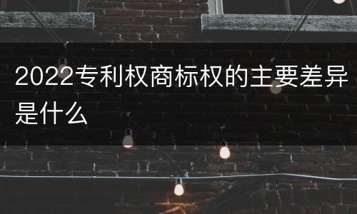 2022专利权商标权的主要差异是什么