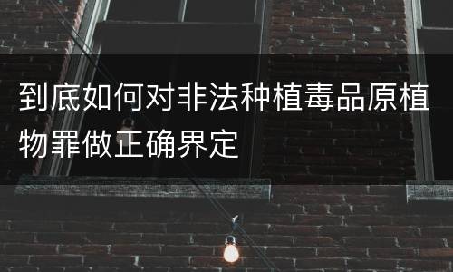 到底如何对非法种植毒品原植物罪做正确界定