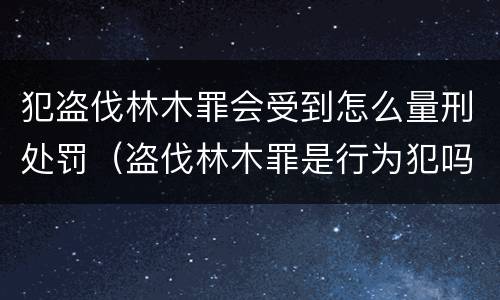 犯盗伐林木罪会受到怎么量刑处罚（盗伐林木罪是行为犯吗）