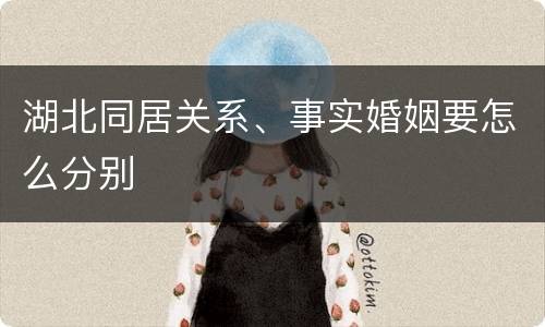 湖北同居关系、事实婚姻要怎么分别
