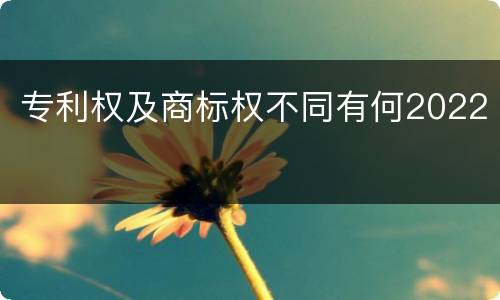 专利权及商标权不同有何2022