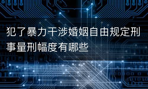 犯了暴力干涉婚姻自由规定刑事量刑幅度有哪些