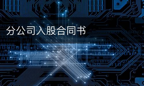 分公司入股合同书